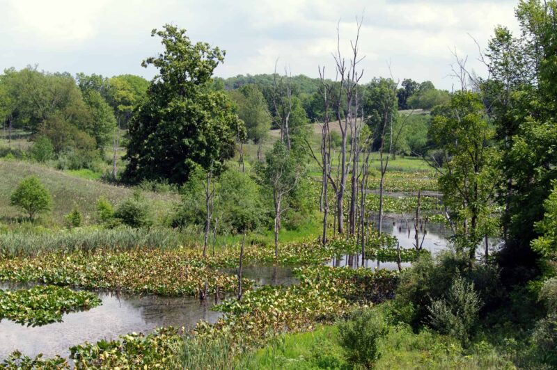 3-Pokagon-State-Park