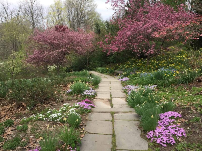 This April 19, 2016 photo shows a rustic path lined with spring flowers at the Virginia B. Fairbanks Art & Nature Park, part of the Indianapolis Museum of Art campus in Indianapolis. The park's 100 acres include sculptures, swings, a lake and woodland trails. (AP Photo/Beth J. Harpaz)