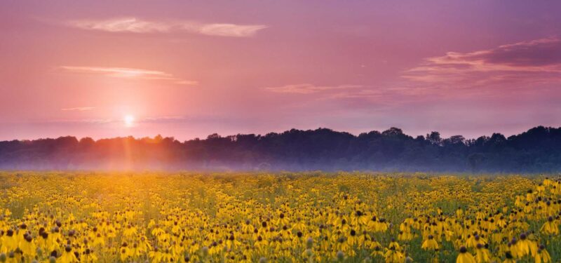 lafayette-cvb-prophetstown-state-park-spring-2015