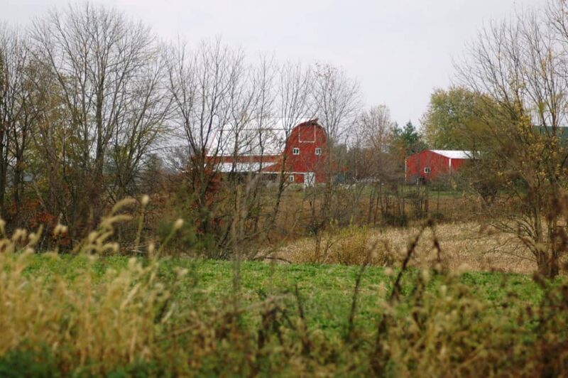 Red-barn-farm1