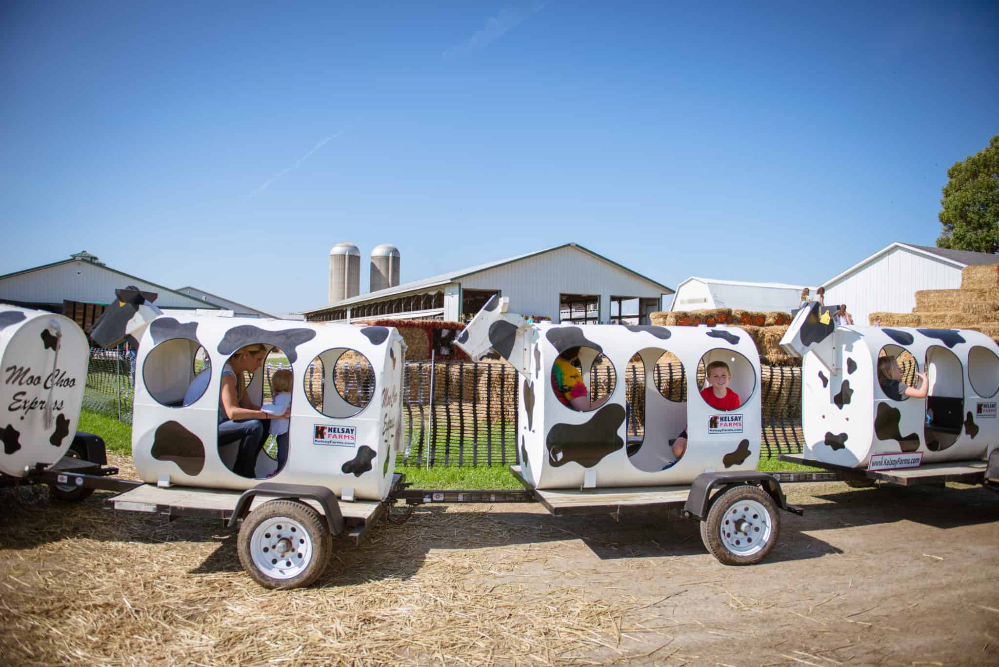 Indiana's Dairy Farms