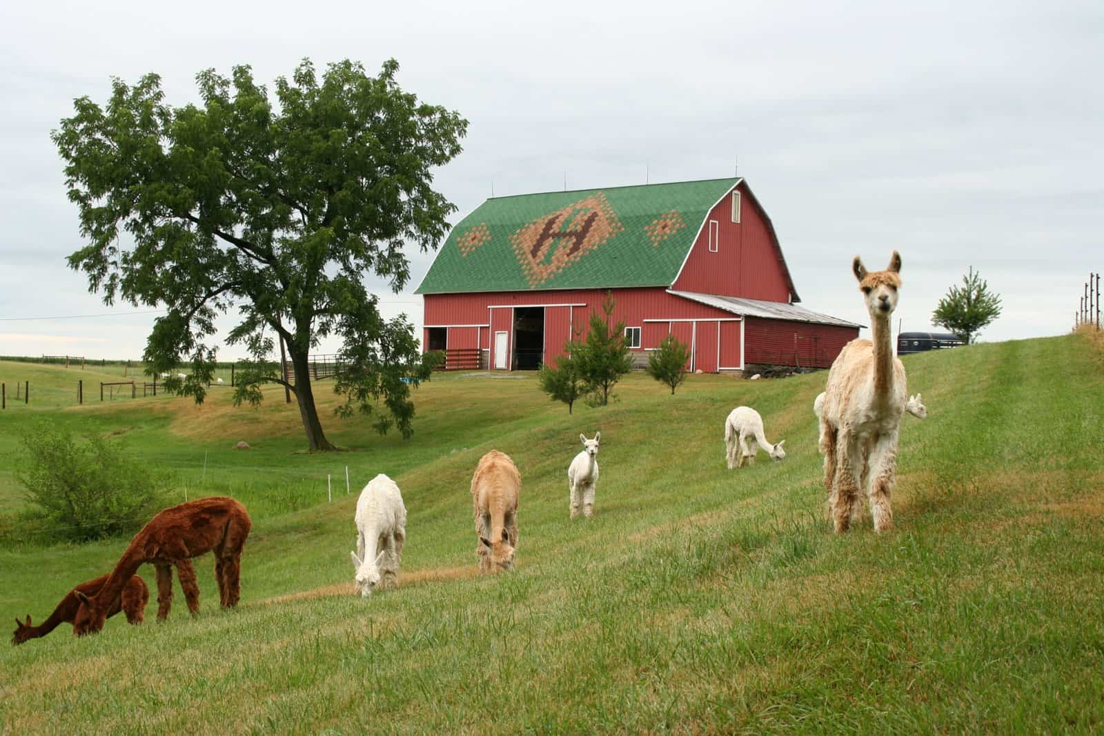 farms to visit near indianapolis