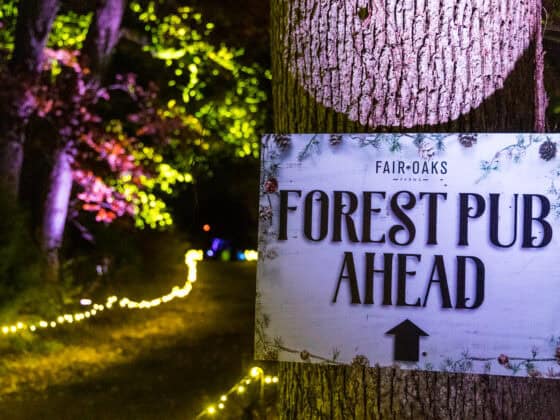 Forest-of-Lights-Fair-Oaks