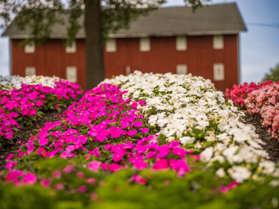 Quilt-Gardens-Elkhart-County