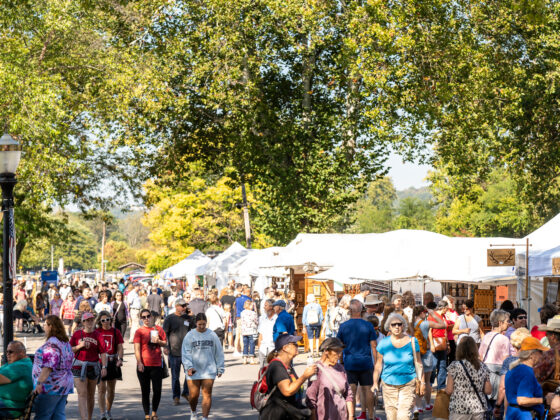 Madison-Chautauqua-Festival-of-Art