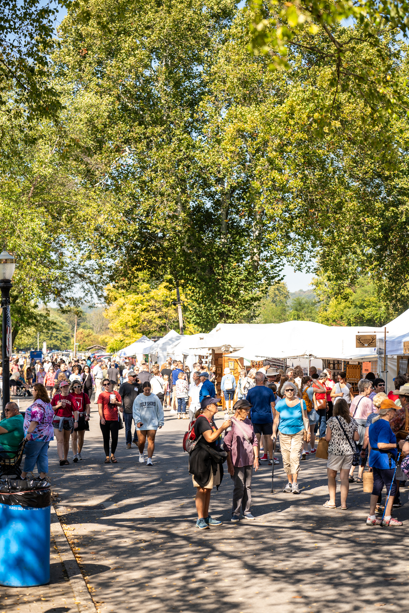 Madison-Chautauqua-Festival-of-Art