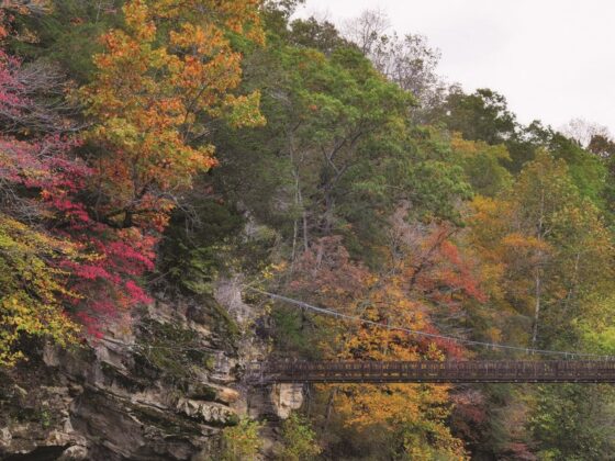 Turkey-Run-State-Park