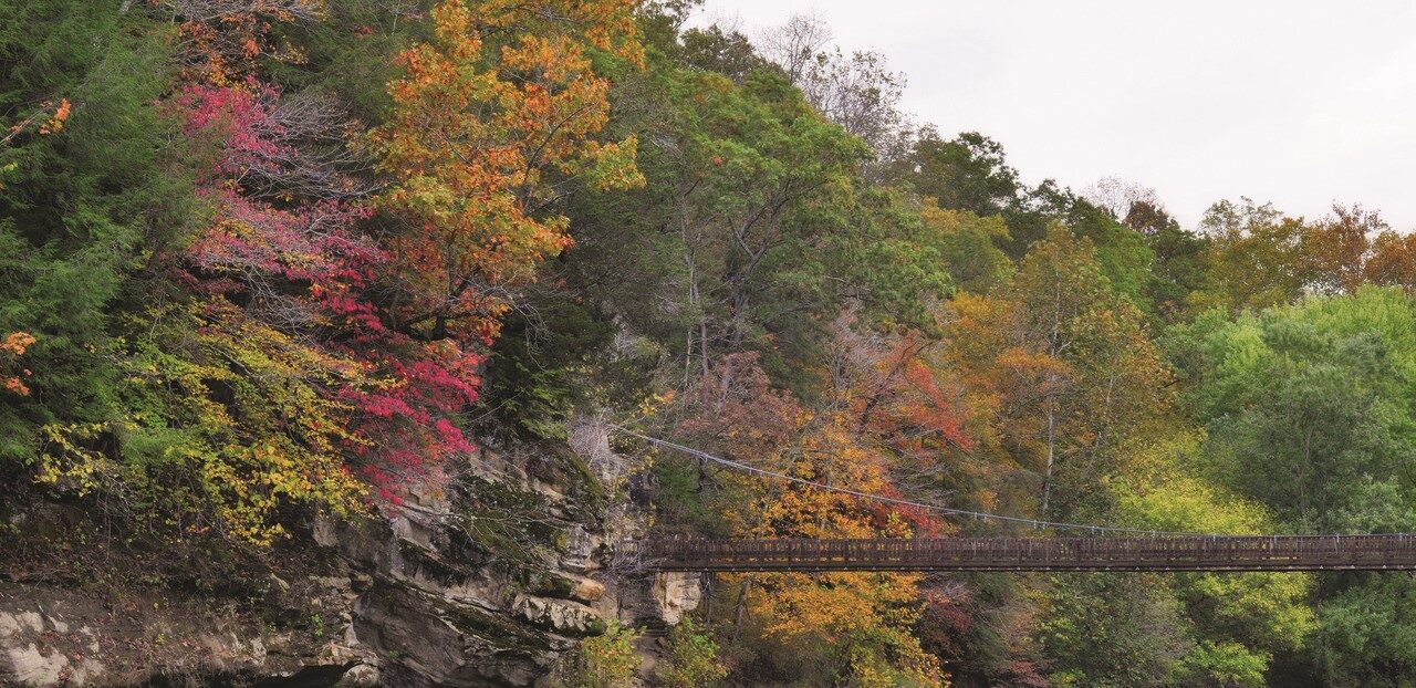 Turkey-Run-State-Park