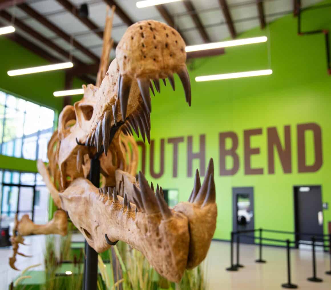 Indiana-Dinosaur-Museum-South-Bend