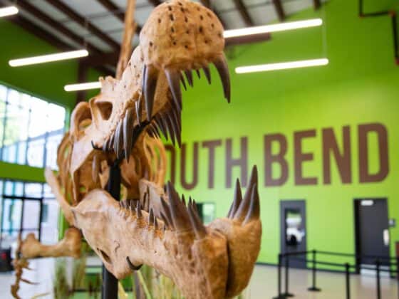 Indiana-Dinosaur-Museum-South-Bend