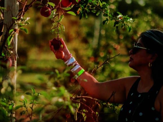 Fair-Oaks-Farms