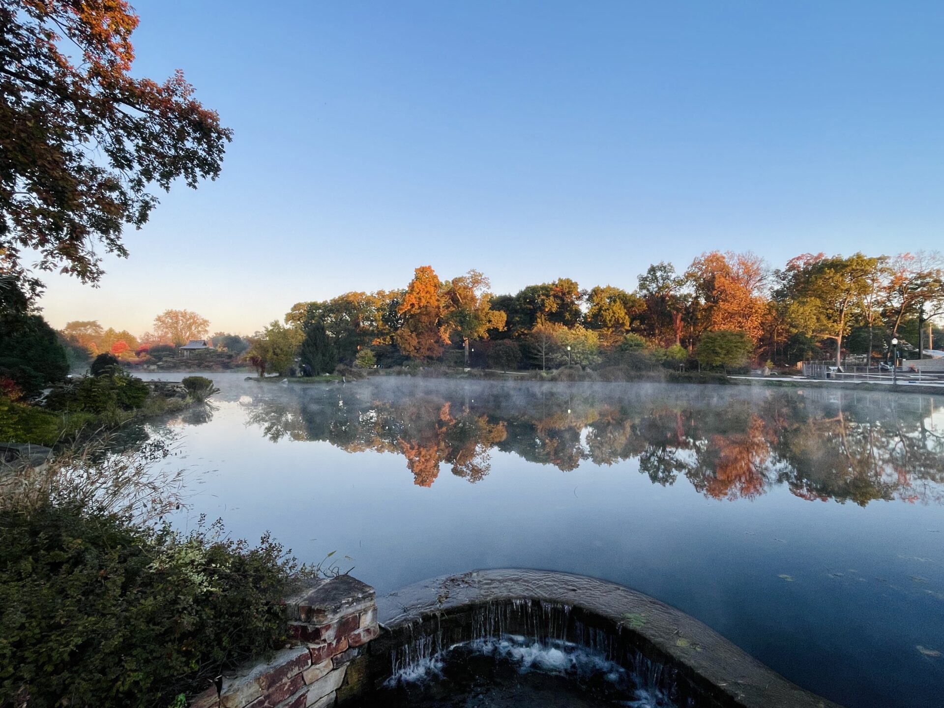 Wellfield-Botanic-Gardens